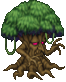 ent.gif
