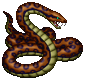 serpent_venimeux_.gif