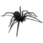 tarentula.png