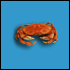 chair_de_crabe.gif