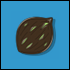 graine.png
