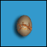 oeuf_de_pseudo-dragon.gif