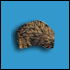 poil_de_sanglier_.gif